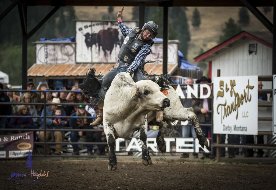 Bullarama_Richardson_2016_web-34