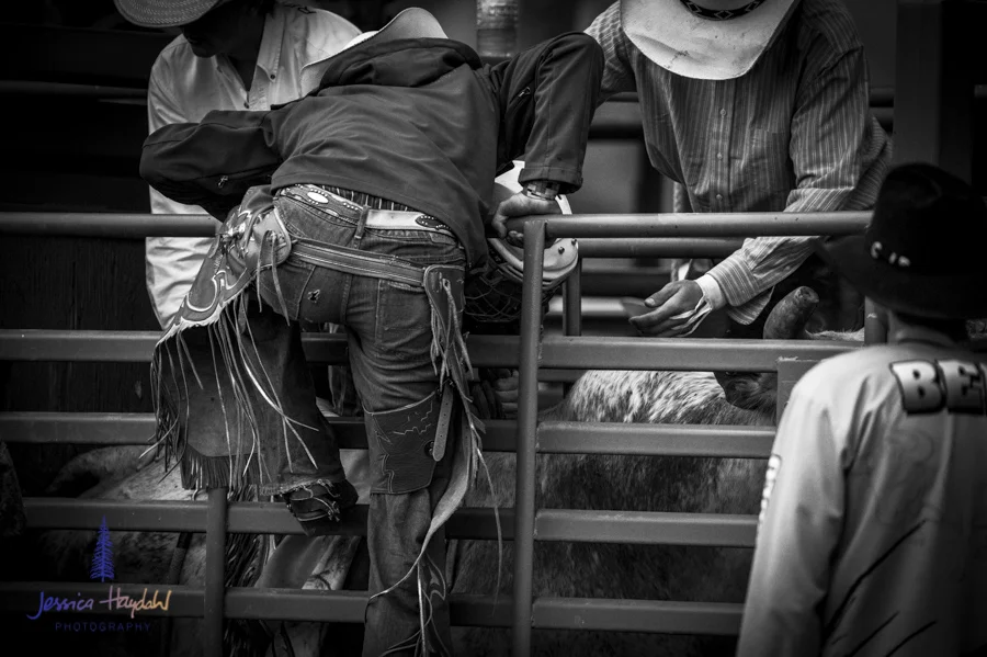 Bullarama_Richardson_2016_web-42