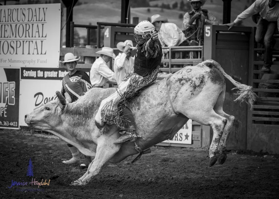 Bullarama_Richardson_2016_web-46