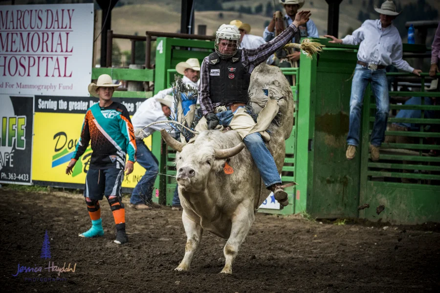 Bullarama_Richardson_2016_web-47