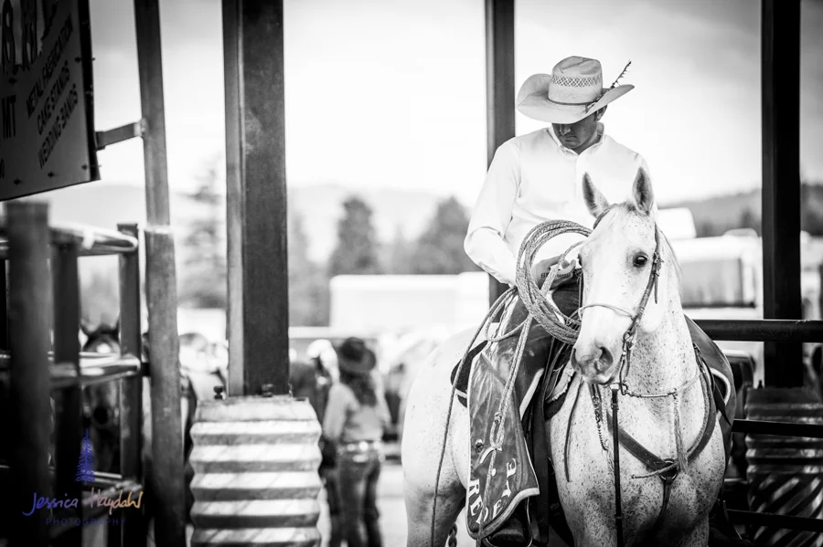 Bullarama_Richardson_2016_web-5