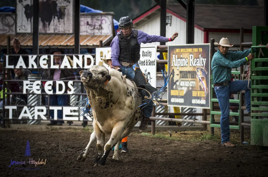 Bullarama_Richardson_2016_web-51
