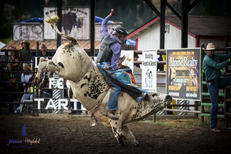 Bullarama_Richardson_2016_web-52