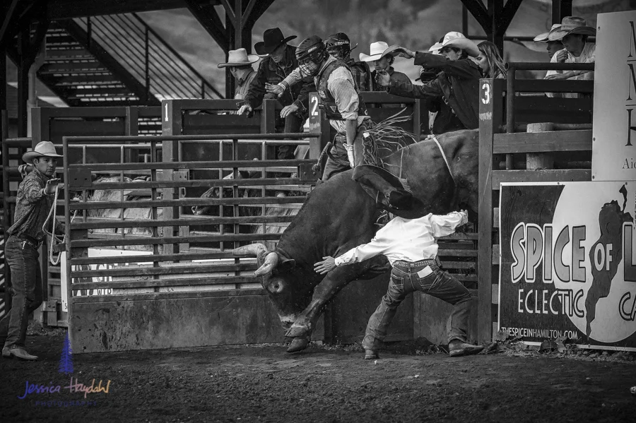 Bullarama_Richardson_2016_web-54