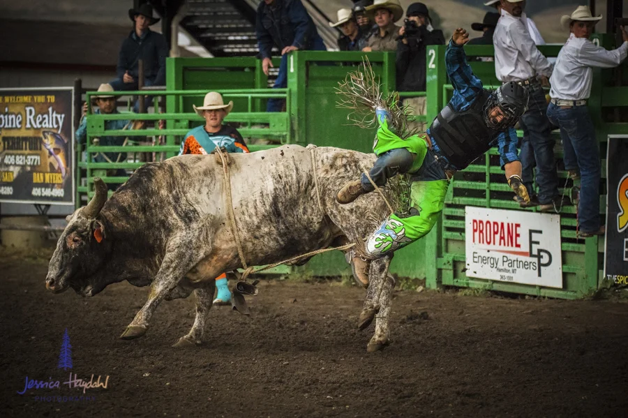 Bullarama_Richardson_2016_web-55