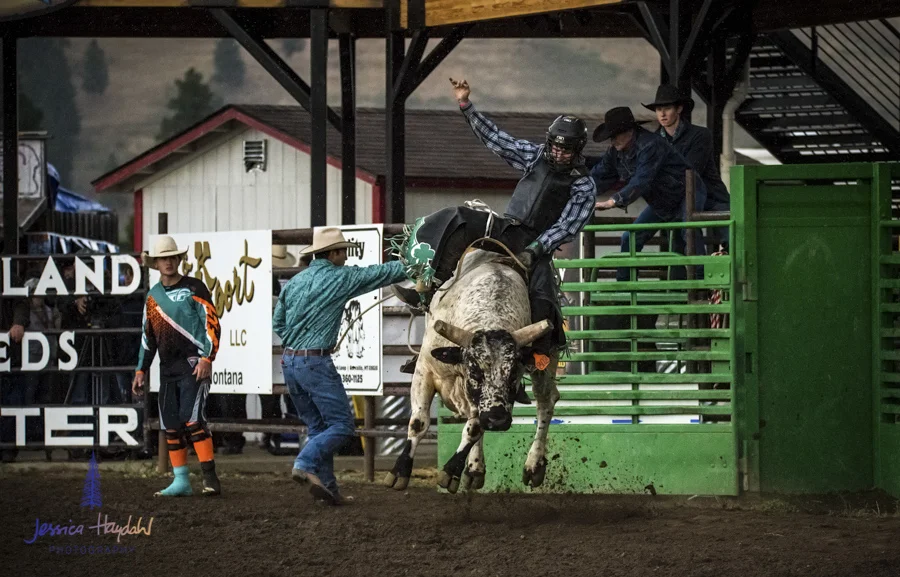 Bullarama_Richardson_2016_web-58