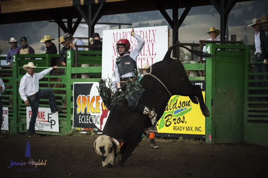 Bullarama_Richardson_2016_web-60