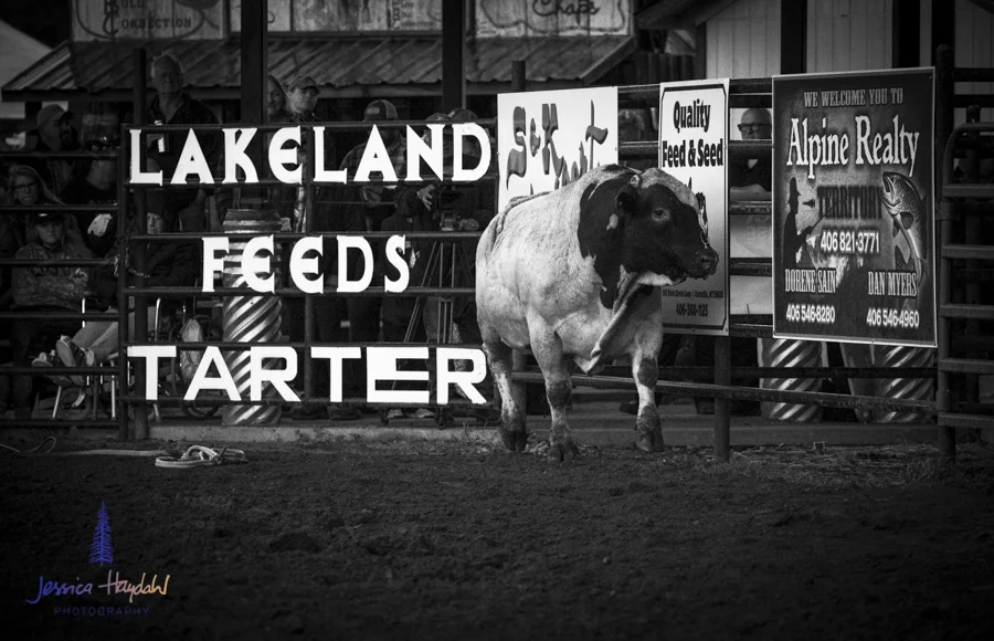 Bullarama_Richardson_2016_web-61