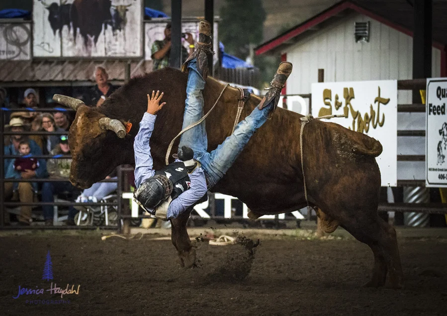 Bullarama_Richardson_2016_web-62