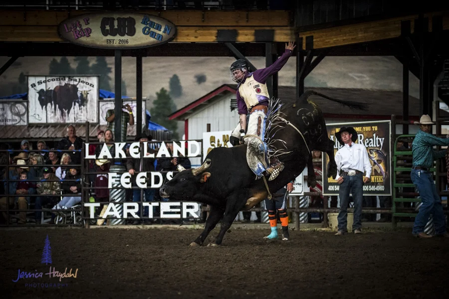 Bullarama_Richardson_2016_web-63