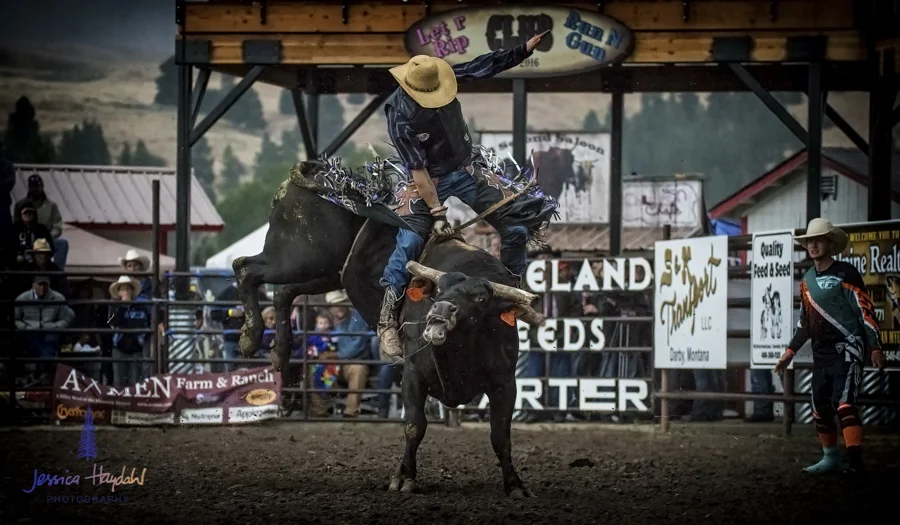 Bullarama_Richardson_2016_web-70