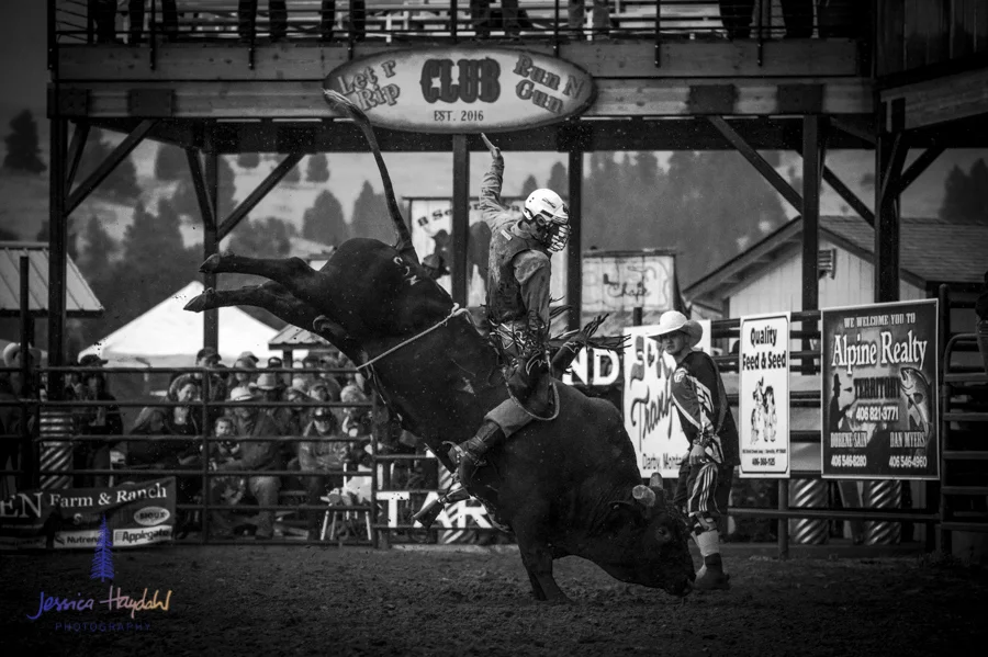 Bullarama_Richardson_2016_web-74