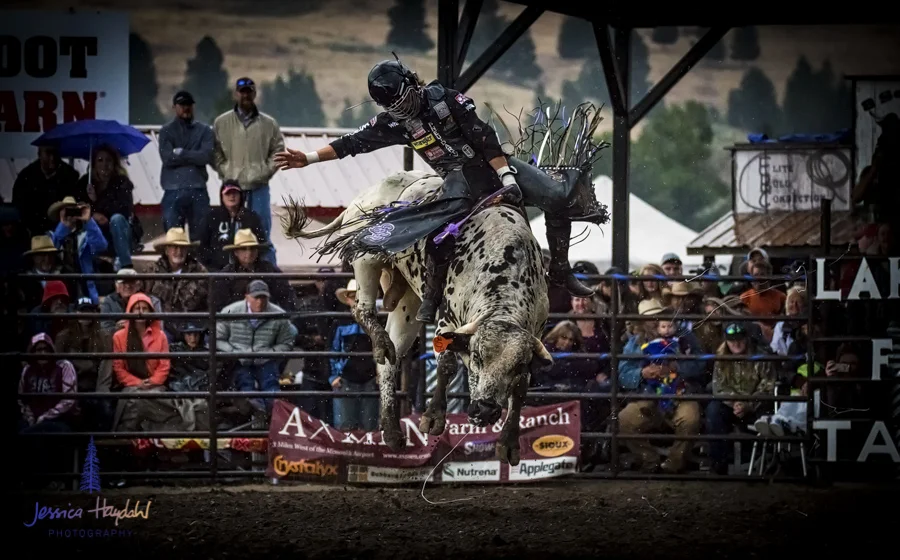 Bullarama_Richardson_2016_web-76