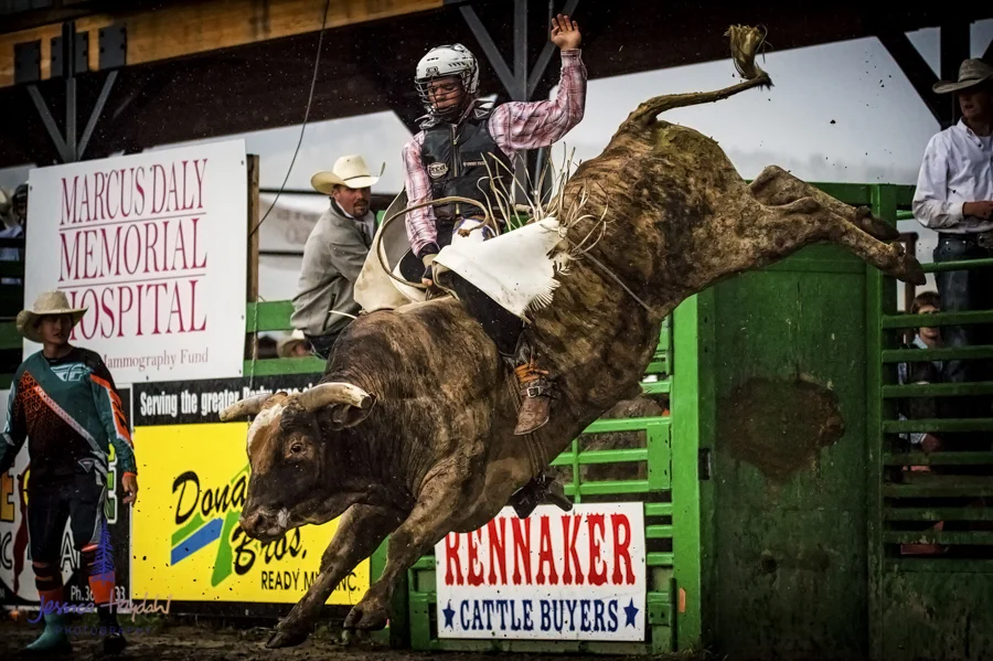Bullarama_Richardson_2016_web-78