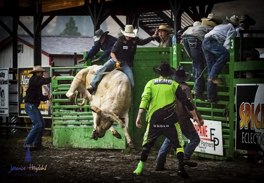 Bullarama_Richardson_2016_web-79
