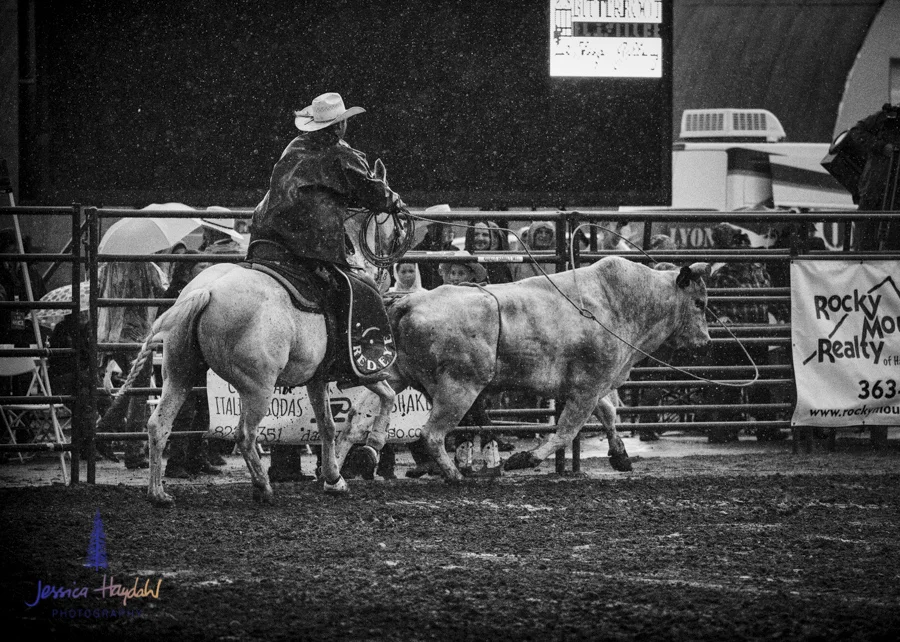 Bullarama_Richardson_2016_web-80