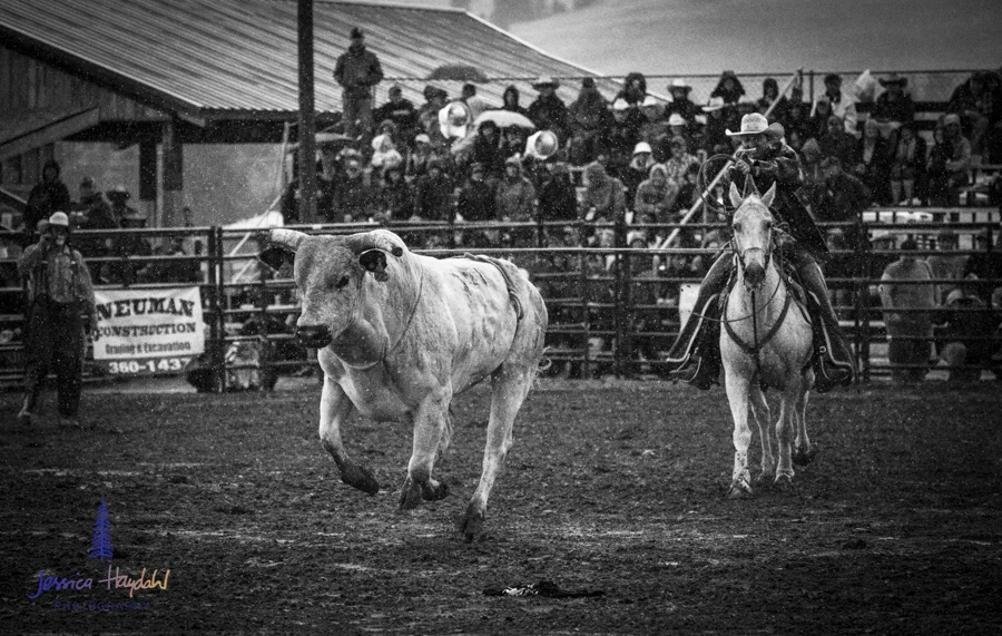 Bullarama_Richardson_2016_web-81