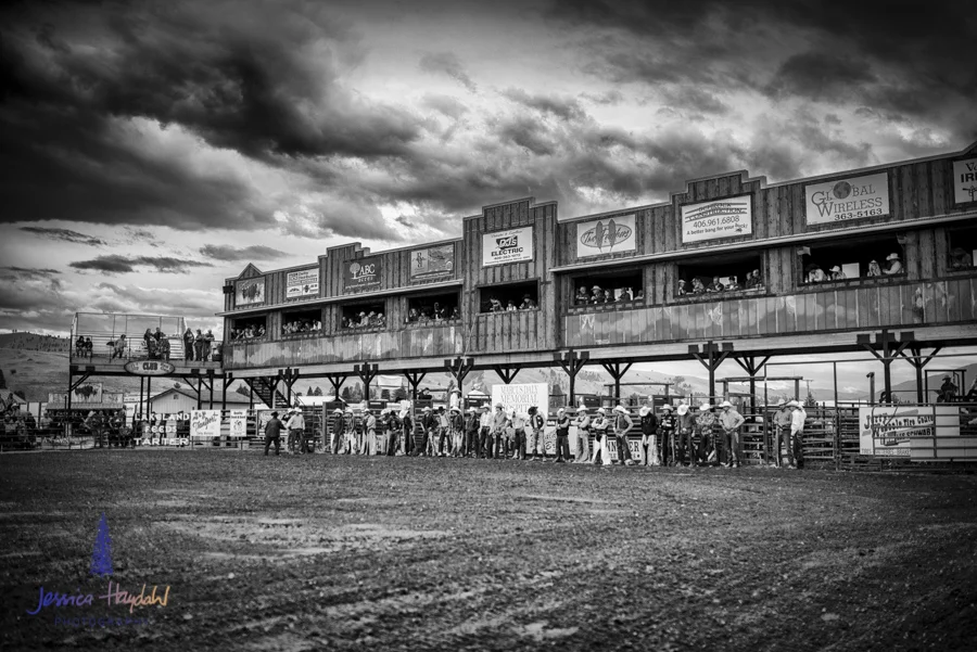 Bullarama_Richardson_2016_web-83