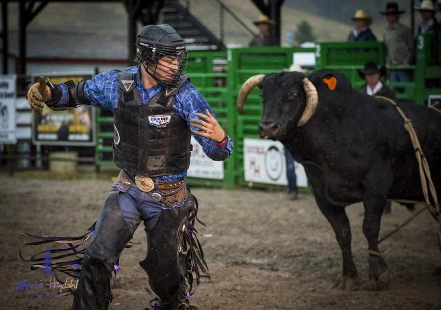 Bullarama_Richardson_2016_web-89
