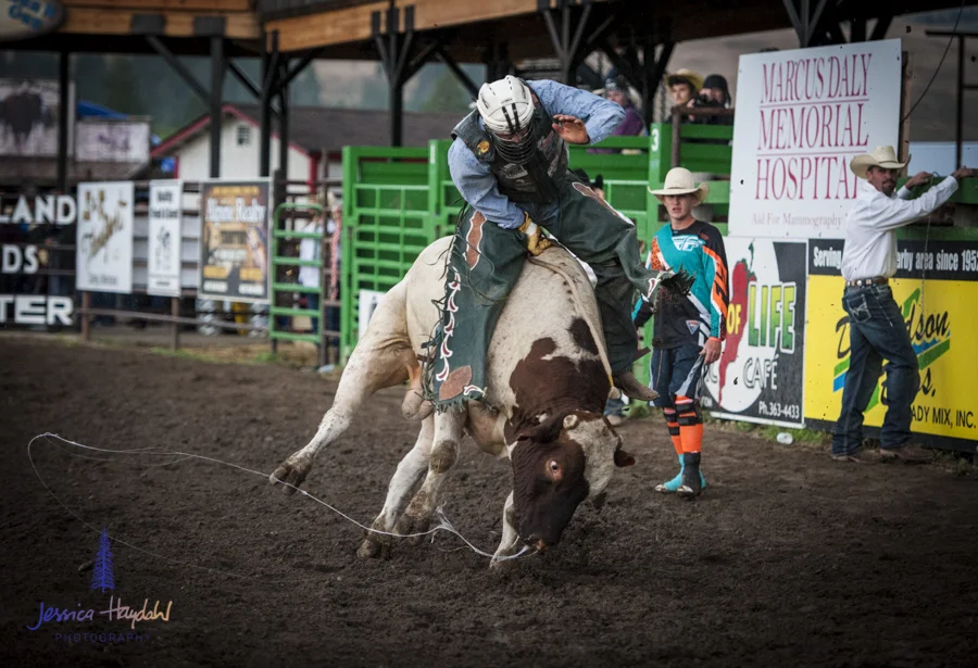 Bullarama_Richardson_2016_web-9