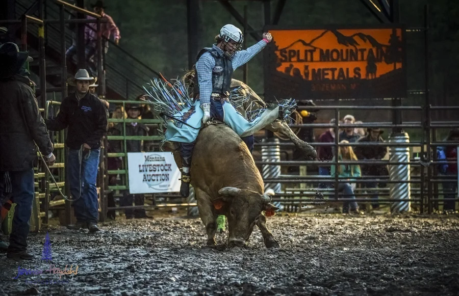 Bullarama_Richardson_2016_web-97