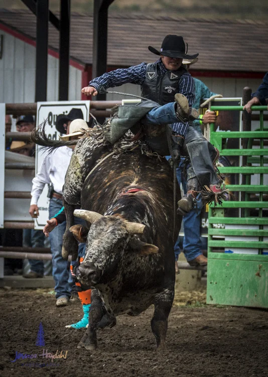 Bullarama_Richardson_2016_web_vertical-5