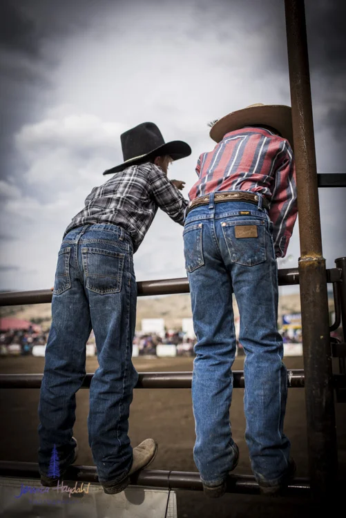 Bullarama_Richardson_2016_web_vertical-7