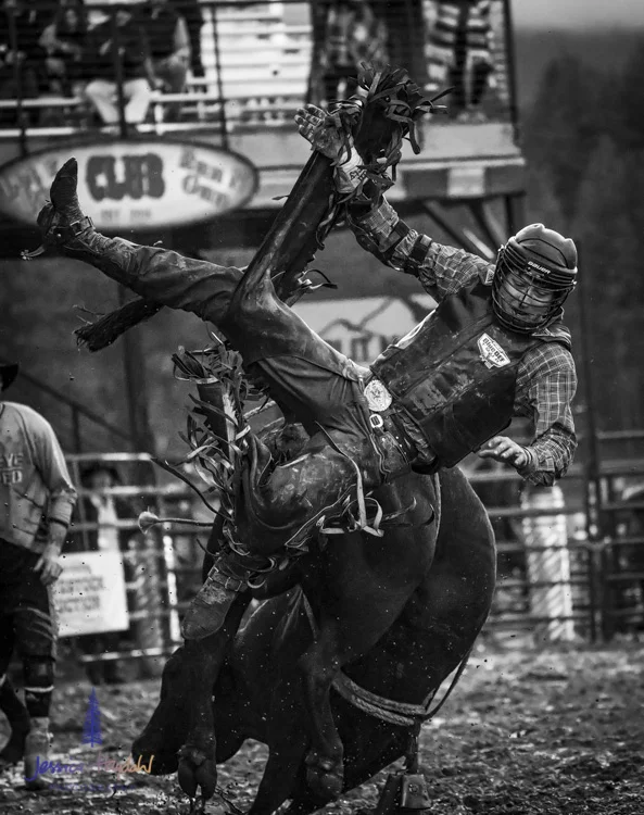 Bullarama_Richardson_2016_web_vertical-8