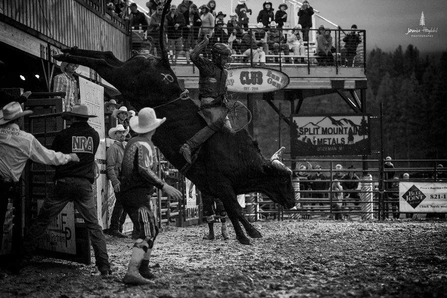 darby_rodeo_2016_1webweb