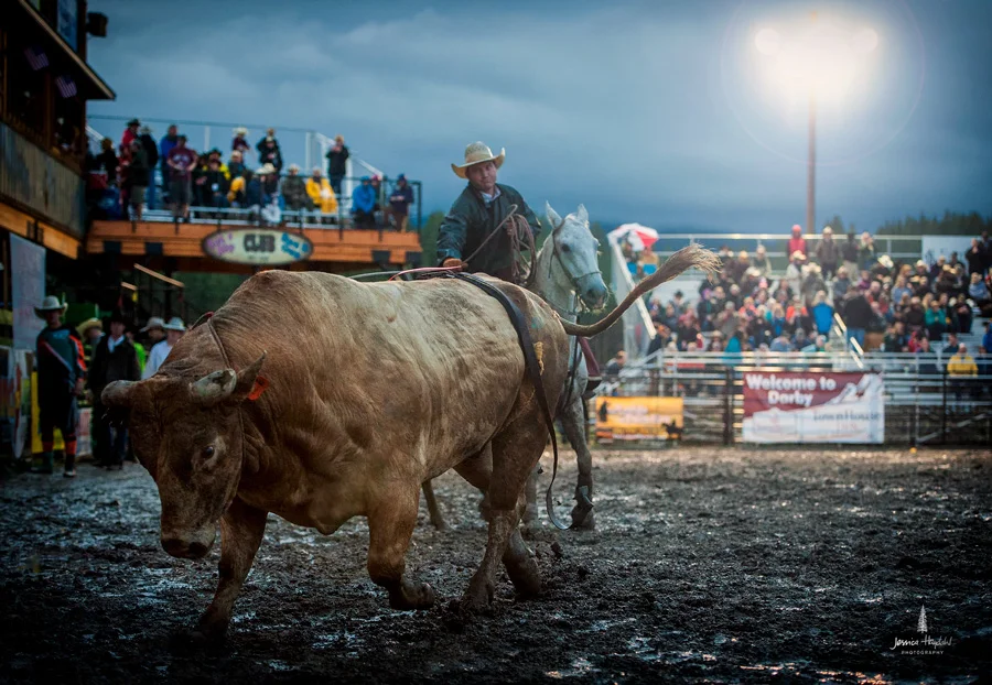 darby_rodeo_2016_3webweb