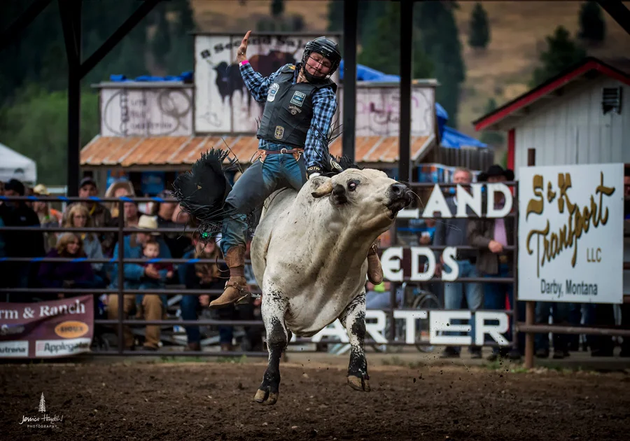 darby_rodeo_2016webweb