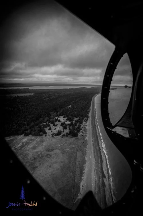 FFK_website_2016-15