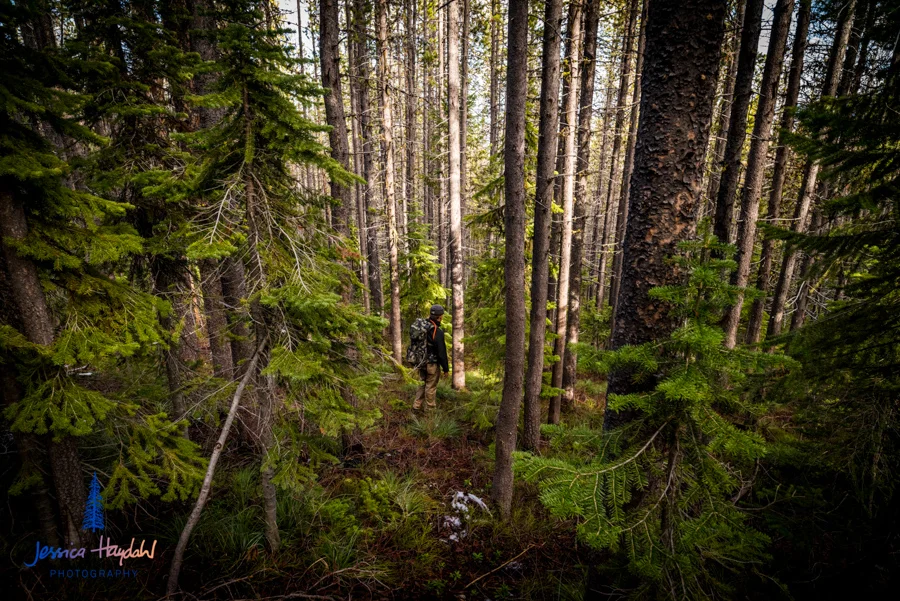 bear_creek_hike_web-7.jpg