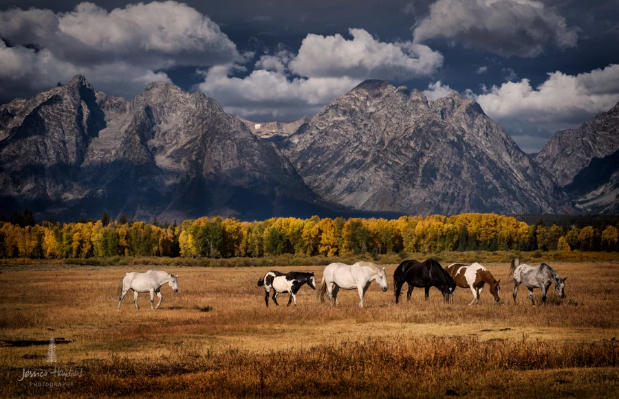 tetons_2016_22web.jpg