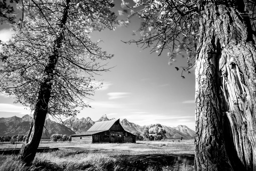 tetons_2016_27web.jpg