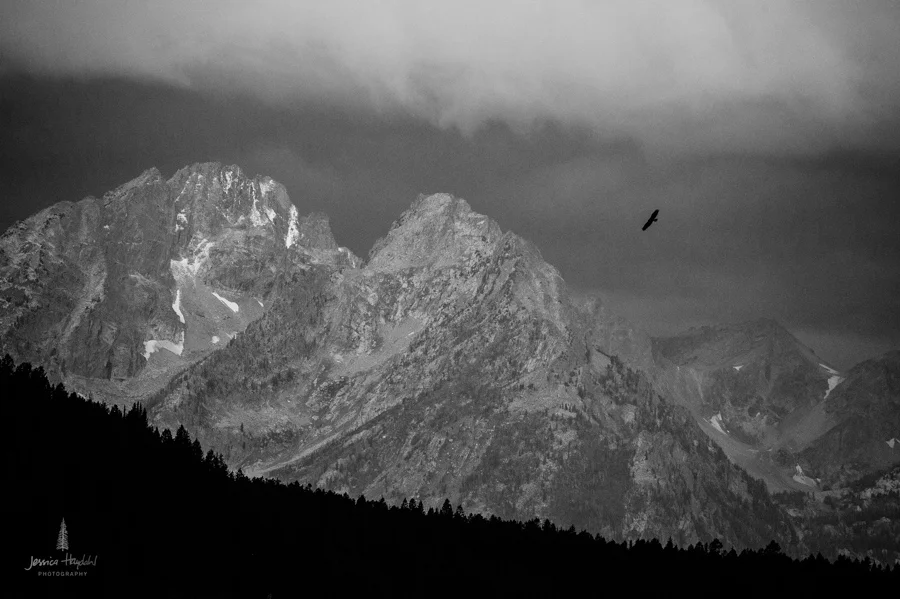 tetons_2016_40web.jpg