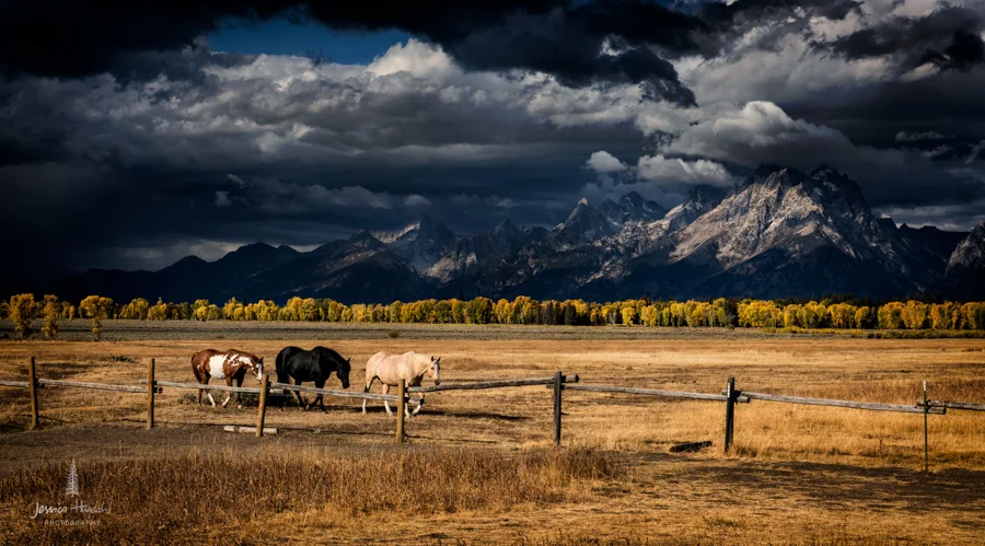 tetons_2016_71web.jpg