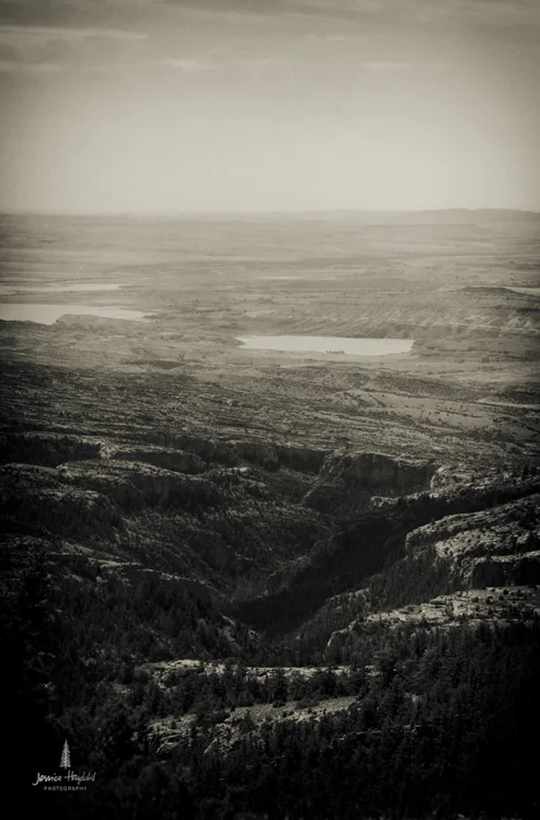 wild_horse_range_june_2017_110web.jpg
