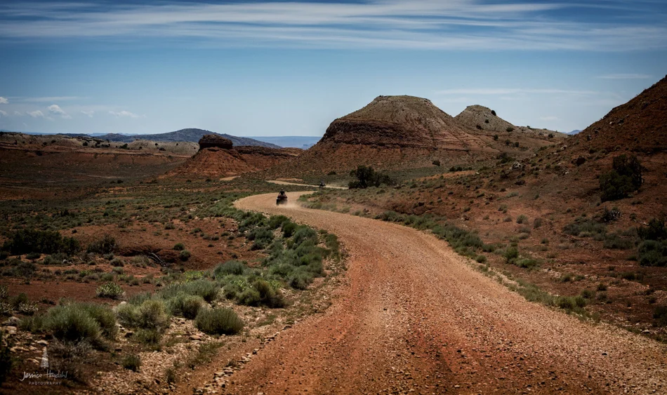 wild_horse_range_june_2017_117web.jpg