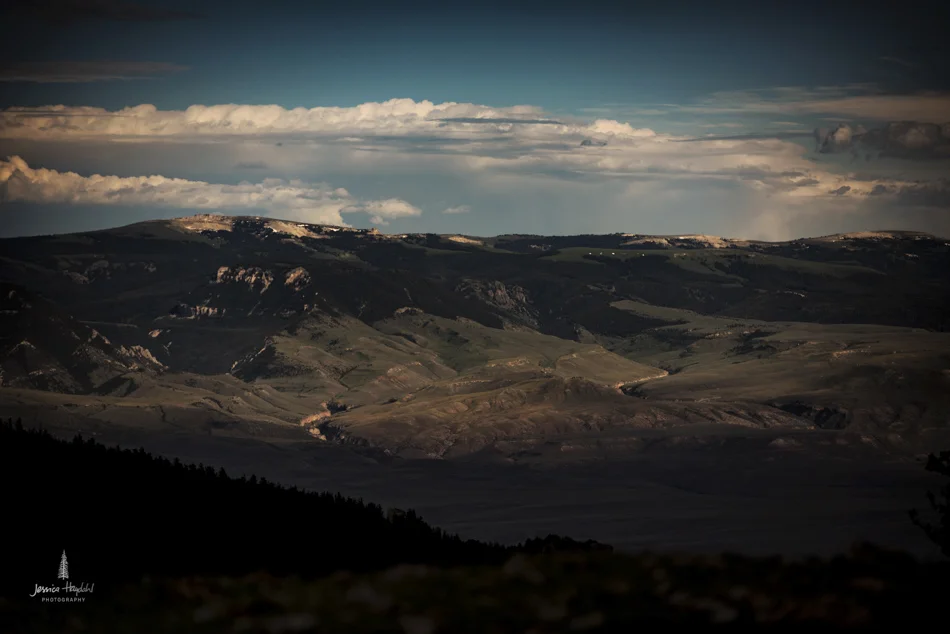 wild_horse_range_june_2017_121web.jpg