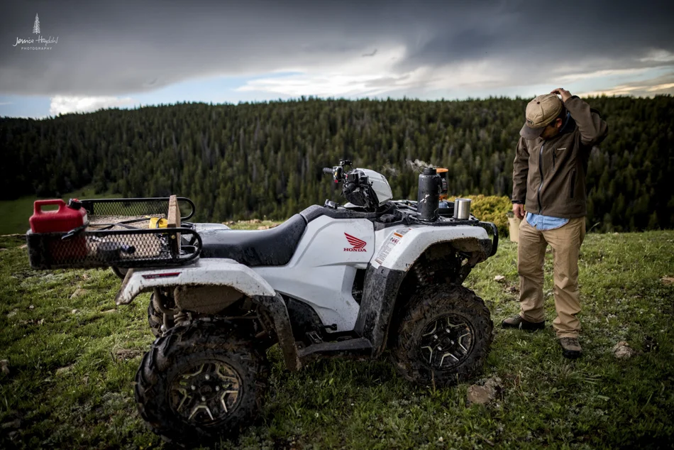 wild_horse_range_june_2017_132web.jpg