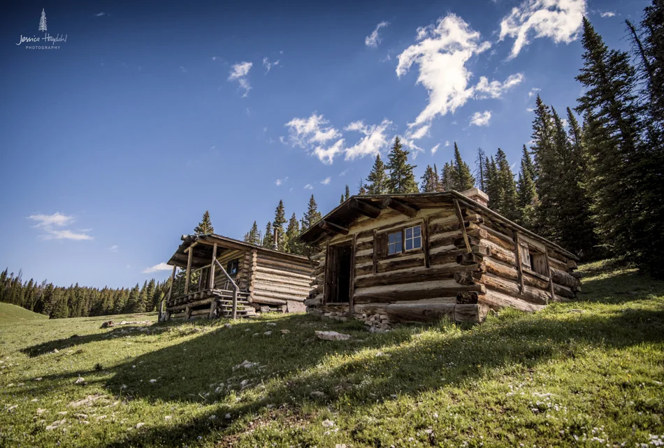 wild_horse_range_june_2017_148web.jpg