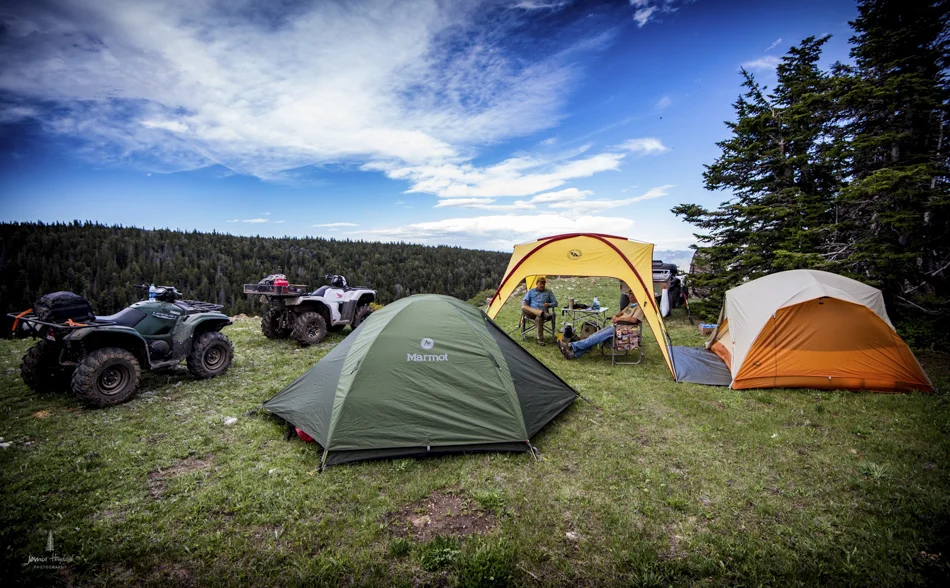 wild_horse_range_june_2017_22web.jpg