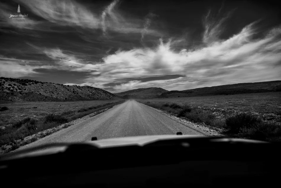 wild_horse_range_june_2017_82web-2.jpg