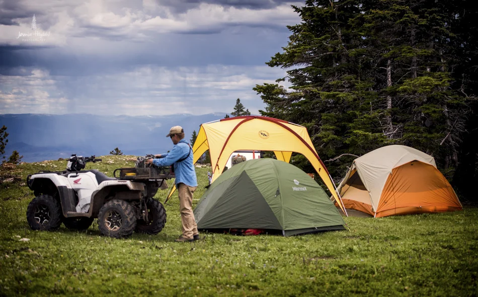 wild_horse_range_june_2017_96web.jpg