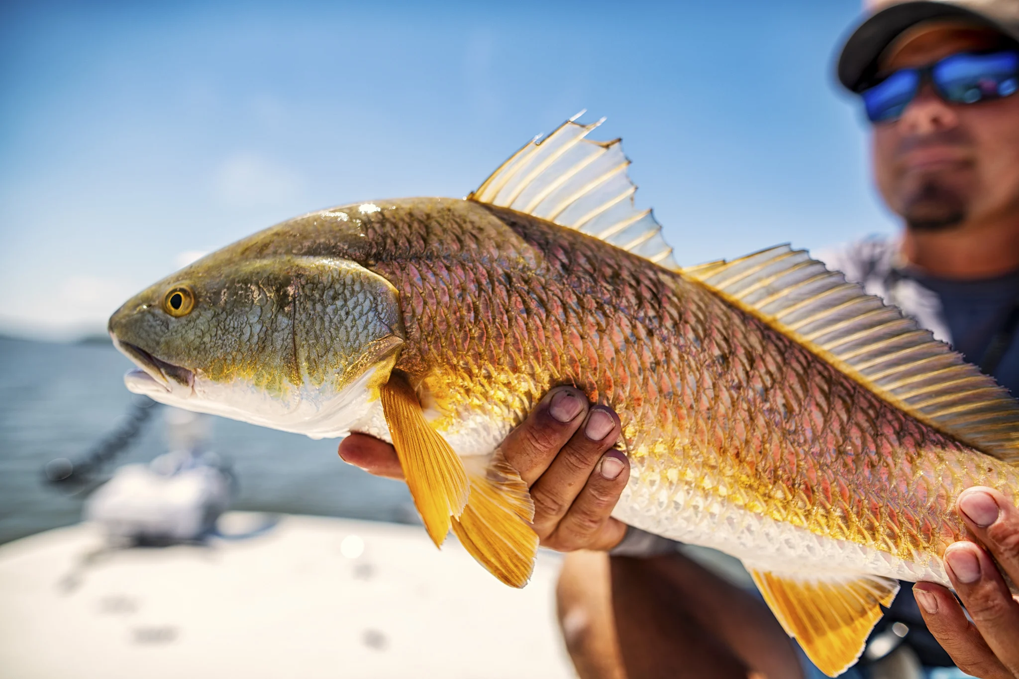 Fishing Venice Louisiana