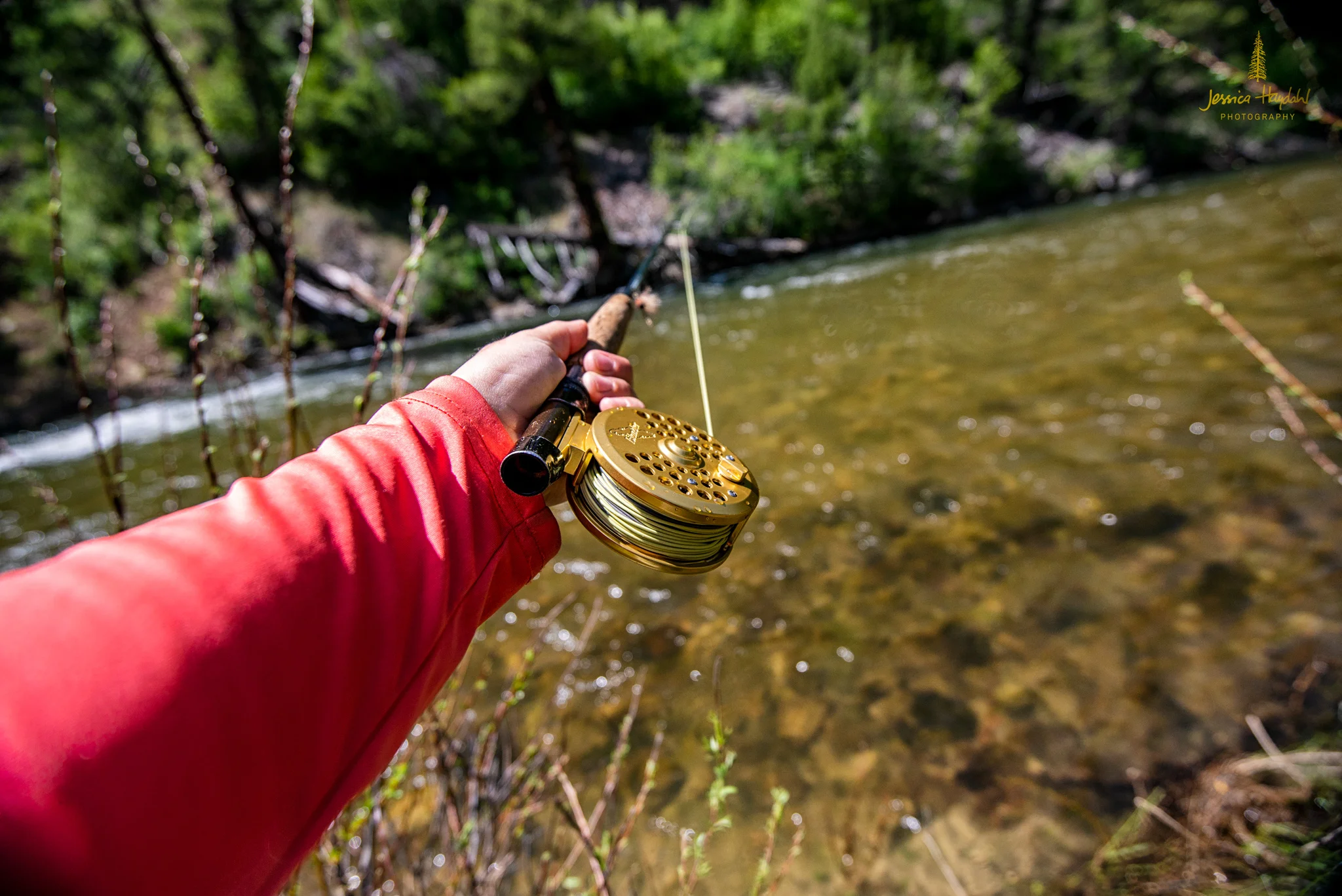 westfork_june_2018_18web.jpg