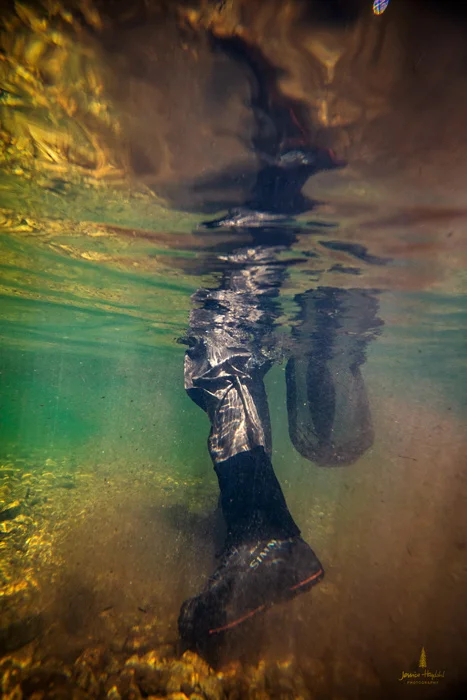 westfork_june_2018_4web.jpg