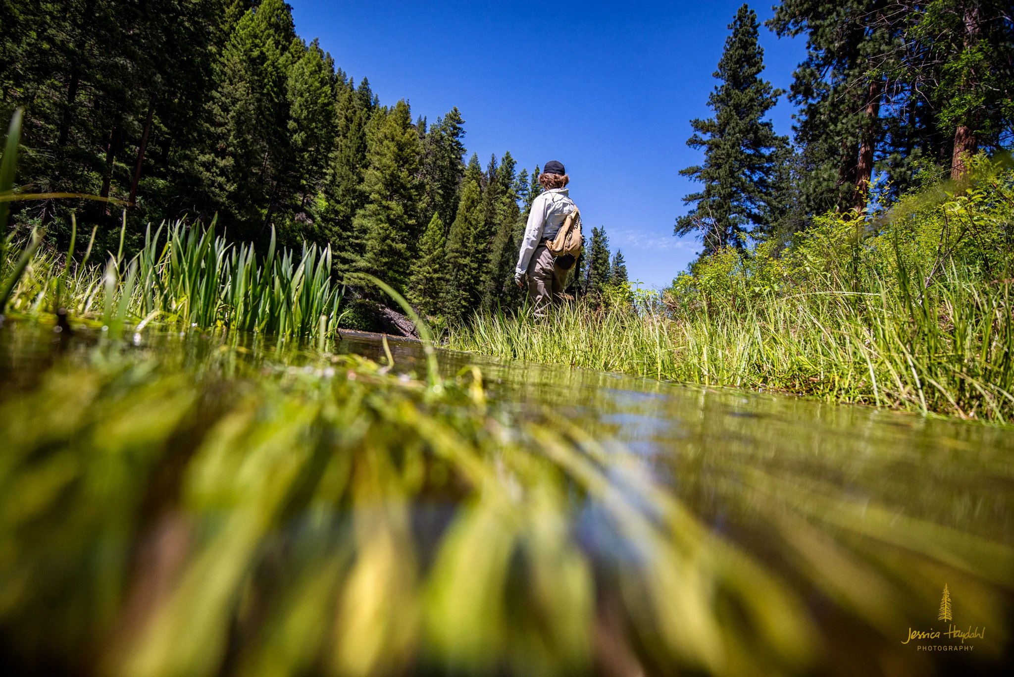 westfork_june_2018_17web.jpg