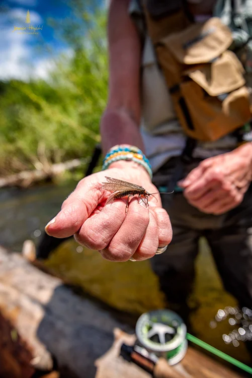westfork_june_2018_25web.jpg